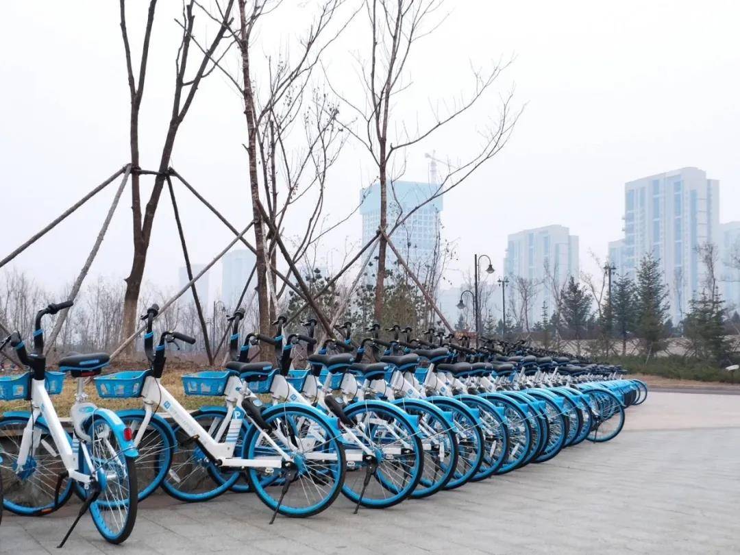 下月开骑！今年哈尔滨计划投放4万辆共享单车