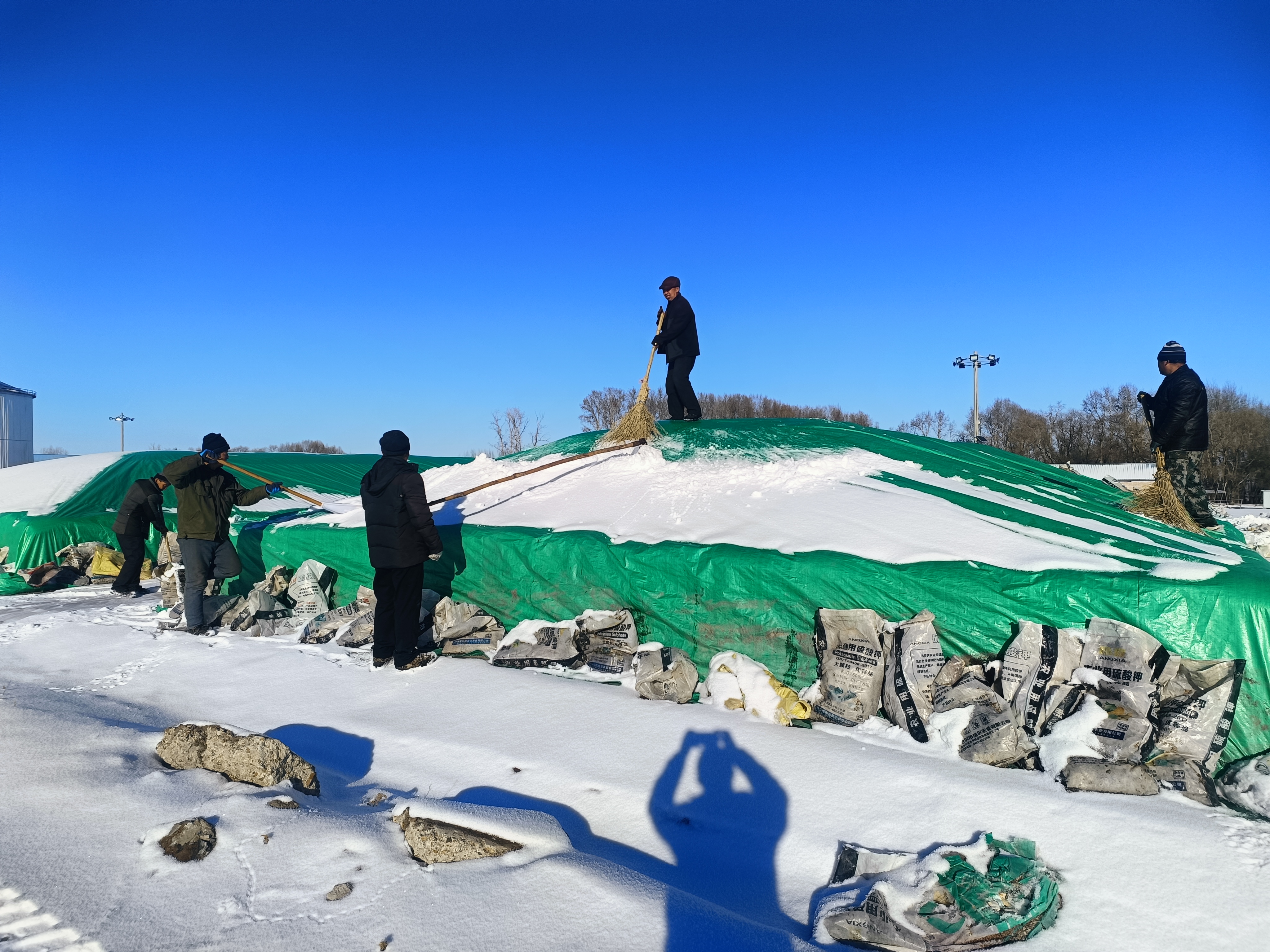 北大荒集团：人机齐上清冰雪