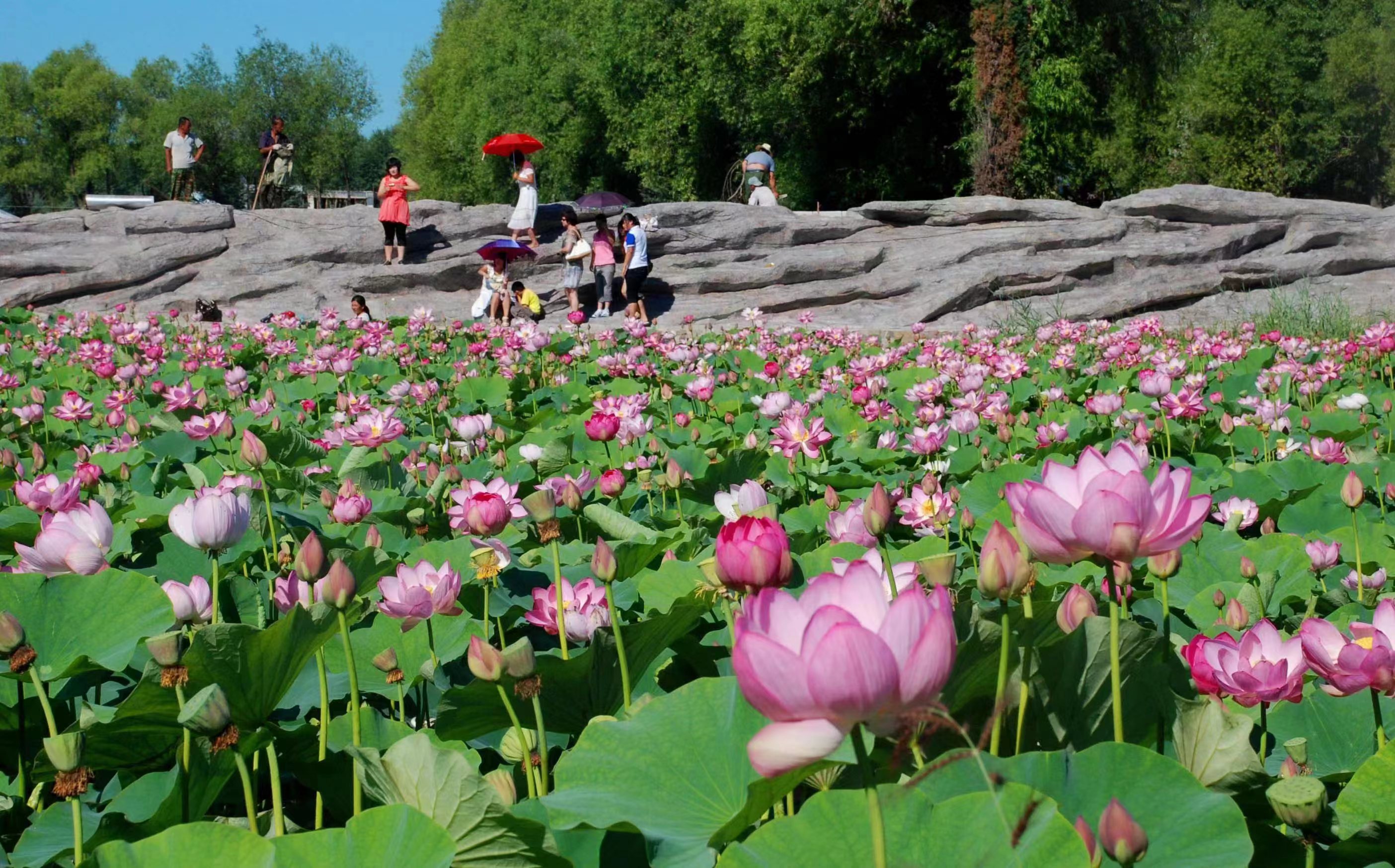 鹤山龙潭山风景区门票图片