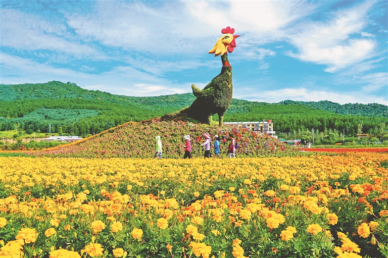 龙川四都花海图片